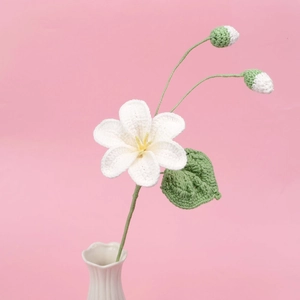 Bouquet de fleurs de tung blanches crocheté à la main en vase pour déco de table maison