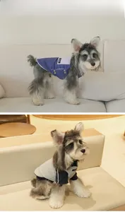 Detail view of colorful padded dog vests for small breeds in a cozy home setting