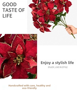 Close-up of red poinsettia petals with golden glitter edges for Christmas decor