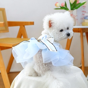 Close-up of sky blue pet lace tutu dress with delicate mesh ruffles for small dogs