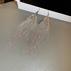 Detailed close-up of long silver tassel earrings with delicate metal chains on display