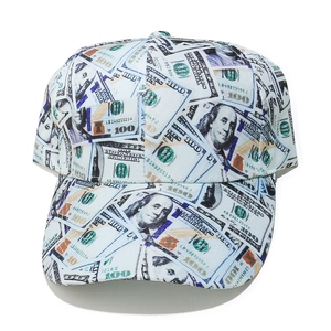 Close-up detail of all-over dollar bill print on a blue canvas baseball cap