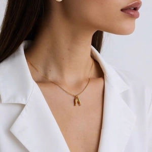 Golden stainless steel necklace featuring two seahorse pendants on a minimalist chain