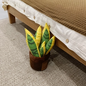 Détail d'un coussin en peluche sansevieria avec feuilles rayées sur un tapis