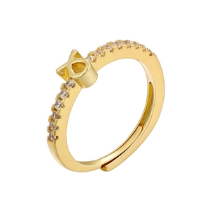 Macro detail of 18K gold plated zodiac ring with sparkling pavé cubic zirconia