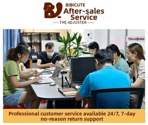 Customer service team in office providing professional after-sales support for pet carriers