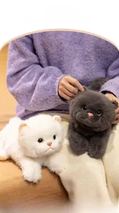 Primer plano de suaves peluches de gato British Shorthair en blanco y gris sostenidos