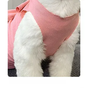 Detail of pink ribbed recovery suit showing elastic fabric and snug fit on a cat