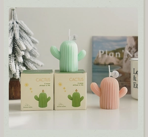 Détail de bougies parfumées en forme de cactus rose et vert dans des boîtes cadeaux