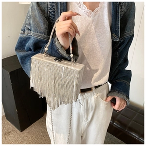 Detail of silver rhinestone fringe evening bag with pearl handle and metal chain strap