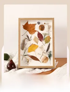 Dettaglio di una cornice in legno massiccio con vari esemplari botanici essiccati all'interno