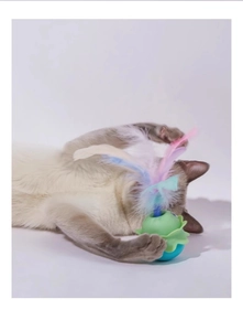 Dettaglio del gioco interattivo per gatti con piume colorate e zampa di gatto che gioca