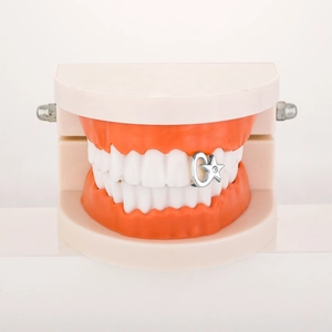 Silver moon and star single tooth grillz with sparkling cubic zirconia on dental mold