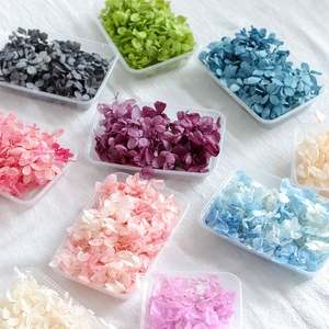 Various colors of preserved hydrangea petals in clear boxes for DIY handicraft projects