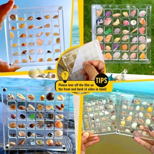 Detailed view of clear acrylic seashell display box with 36 grids for collection