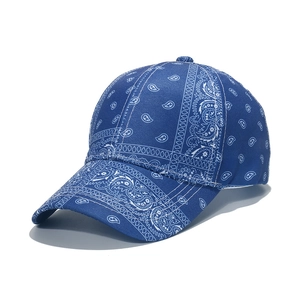Close-up of blue paisley pattern on a curved brim baseball cap with detailed stitching