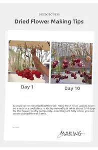 Detail guide showing natural air-drying process of roses for 3D wood flower frame