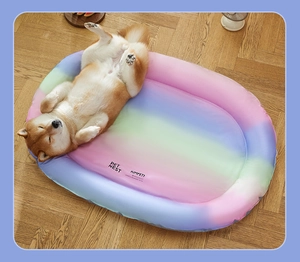 Vista superior de un perro Shiba Inu en una alfombrilla refrescante impermeable arcoíris