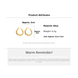 Detail view of gold chain hoop earrings with S925 silver needles and 2x2cm dimensions