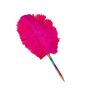 Rainbow gradient feather ballpoint pen with magenta plume on a clean white background