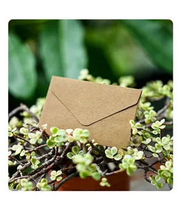 Mini kraft paper envelope with V-flap design placed in a green succulent plant