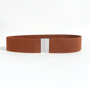 Detail of caramel elastic waist belt with modern silver metal buckle on white background