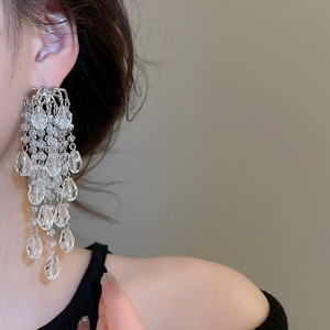 Macro shot of silver tassel earrings with crystal beads on a model for a luxury style