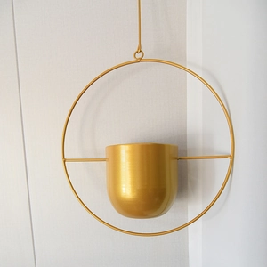 Detail of minimalist gold iron hanging planter with circular frame for indoor plants
