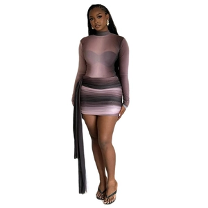 Purple gradient sheer mesh bodycon dress with high neck, long sleeves and side ribbon detail