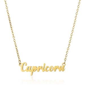 18K gold plated stainless steel Capricorn zodiac letter pendant necklace for women