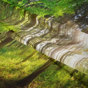 Detail of high-definition digital print on soft forest tapestry fabric with natural folds