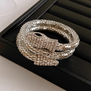 Detail of silver snake bracelet with sparkling white rhinestones and black gem eyes