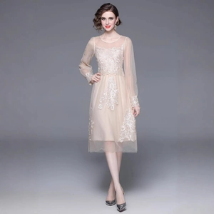 Robe élégante en tulle champagne avec broderie en dentelle et manches longues pour femme