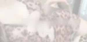 Detailed close-up of brown leopard print fabric on a sexy secretary costume dress