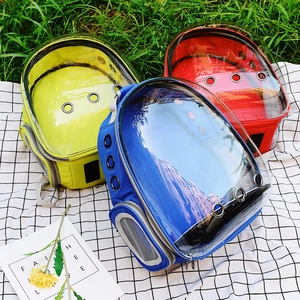 Transparent cat backpack in yellow, blue, and red on grass for outdoor travel