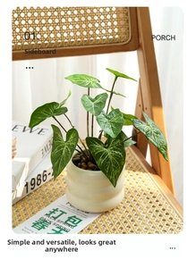 Detail of faux heart-leaf plant in ribbed ceramic pot with stones on a wooden chair