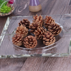 Natural brown pine cones in glass tray for DIY Christmas decor and holiday crafts
