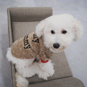 Detail of warm fleece pet sweater with 'I love my mommy' print and red cuffs
