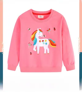 Close-up of pink long-sleeve sweatshirt featuring colorful pony and floral embroidery