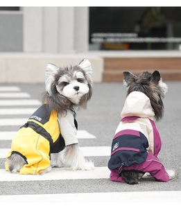 Close-up of waterproof dog raincoat with a functional hood and durable active fabric