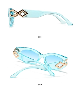 Detail view of cat eye sunglasses with light blue transparent frames and golden decor