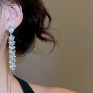 Detail of elegant silver tassel drop earrings with sparkling zircon beads on model