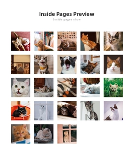 Detail page showing 23 unique cute cat stickers for DIY journals and scrapbooks