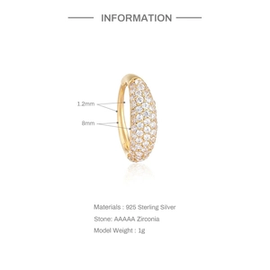 S925 sterling silver gold-plated hoop earrings with AAAAA cubic zirconia stones