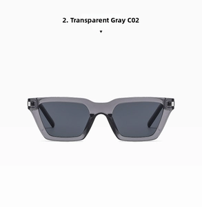 Front view of transparent grey rectangle sunglasses frame with model C02 labels