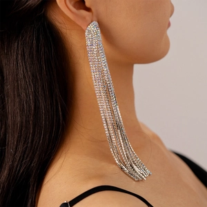 Detail of long silver tassel earrings with sparkling rhinestones worn by a model