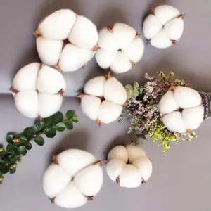 Natural dried cotton bolls set for DIY crafts and floral decor on a grey background