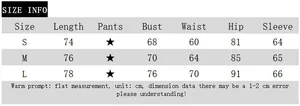 Detailed size chart for the long sleeve mesh bodycon dress with length and bust info