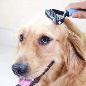 Nahaufnahme eines blauen Entfilzungskamms beim Kämmen von Kopfhaaren eines Golden Retrievers