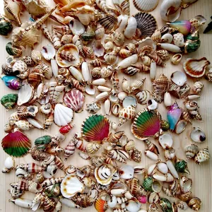 Set aus vergoldeten Muscheln und Seestern-Anhängern für DIY-Schmuckherstellung